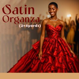 Satin Organza Combination 2+4 Yards